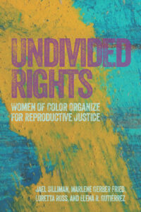 the teal and yellow streaked cover of a book entitled "undivided rights." the title is in faded magenta.