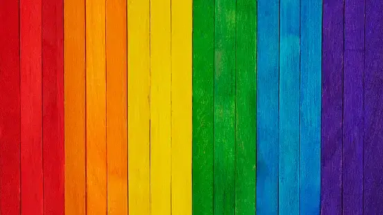 Reading the Rainbow: On LGBT+ Inclusion in K-12 Pedagogy